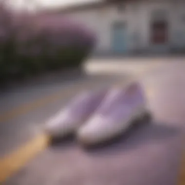 A stylish display of lavender checkered Vans on a skate ramp.