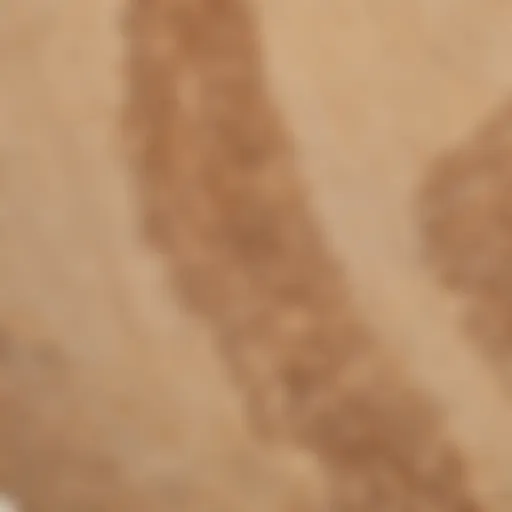 Close-up view of a finely crafted maple skateboard deck highlighting its grain patterns