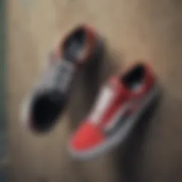 Vans Old Skool sneakers showcasing their design
